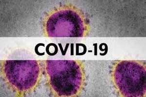 What you think of COVID-19 and the response to it article image